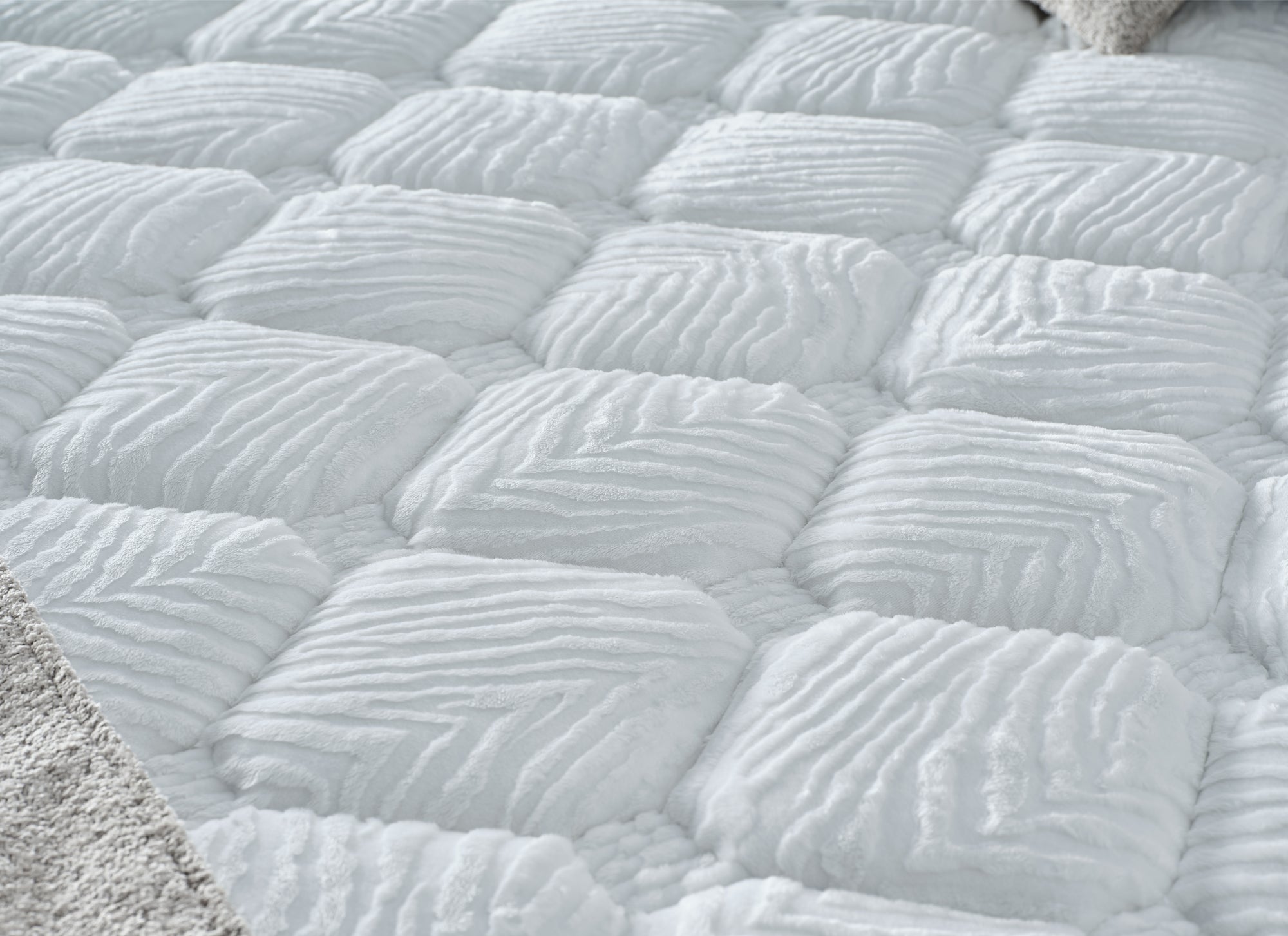 Florence - Cappuccino